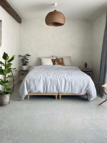 Pa� - Boutique Home