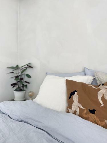 Pa� - Boutique Home