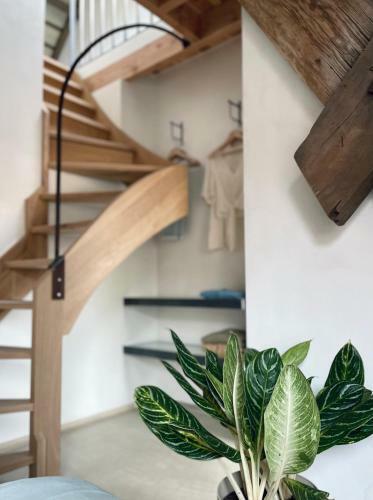 Bed & Breakfast Pa� Boetiek Bnb