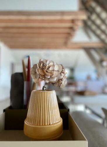Bed & Breakfast Pa� Boetiek Bnb