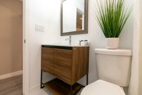 Black Brick Suite