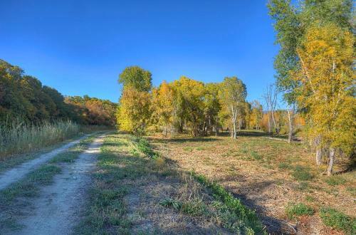 Pine River Cabin - 2 Br - Bayfield