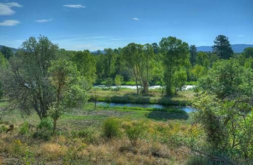 Pine River Model Cabin - 1 Br - Bayfield