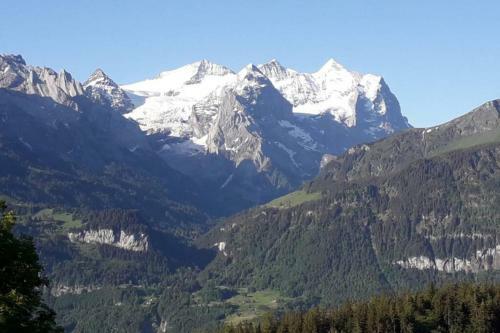 Apartamento Chalet Steinbock Am Hang Obere Wohnung