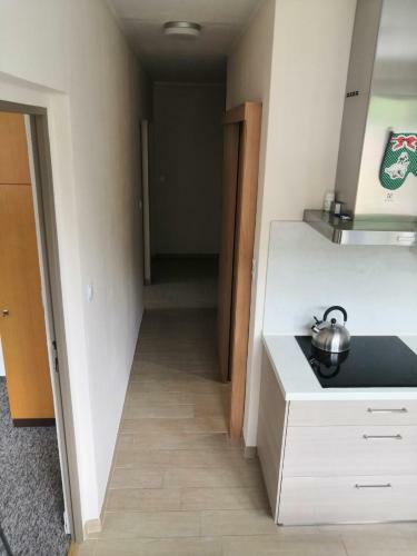 Apartamento Nejdek