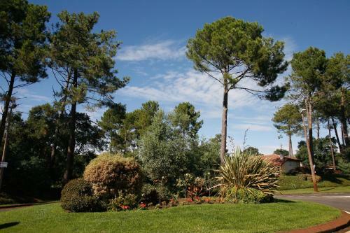 R�sidence Odalys - Les Villas Du Lac
