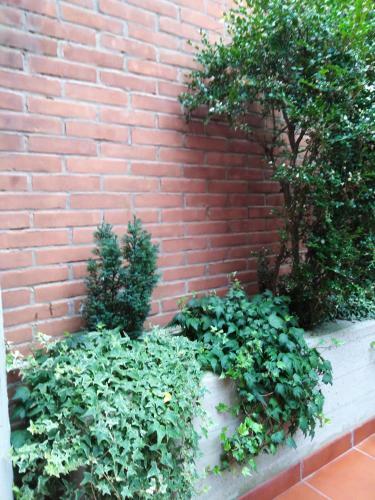 Apartamento Casa Zaffalon U.a.n.c.