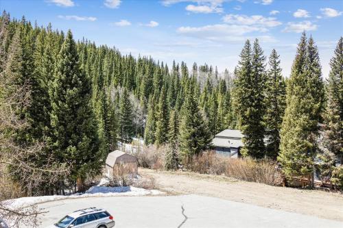 Tenmile Viewhouse Townhouse