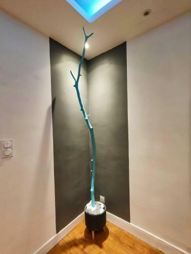Apartamento Transat 100m Plage Brasero Design Kitesurf