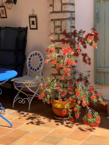 Bed & Breakfast Villa Rosa B�ziers
