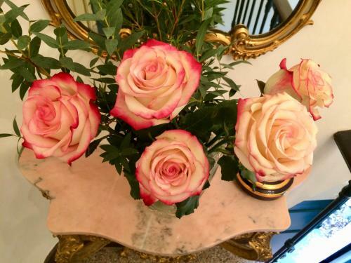 Bed & Breakfast Villa Rosa B�ziers