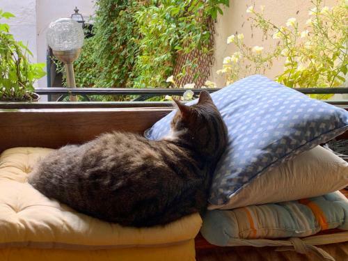 Bed & Breakfast Villa Rosa B�ziers