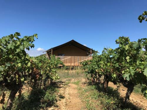 Safaritent Glamping de L'olivigne