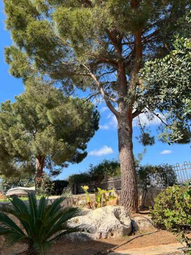 Apartamento The Twin Pines Home