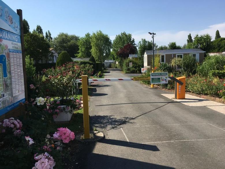 Le Camp Des Roses