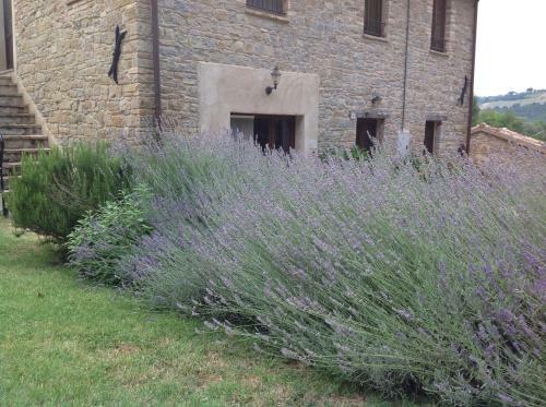 B&B Mulino Barchio