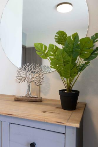 Apartamento Pansion Artemis