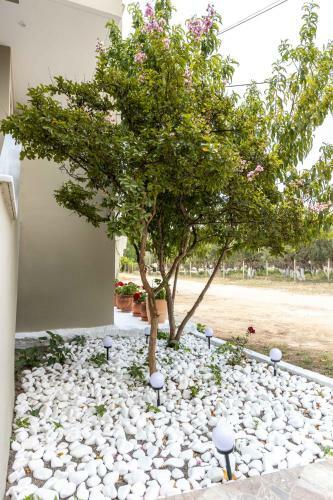 Apartamento Pansion Artemis
