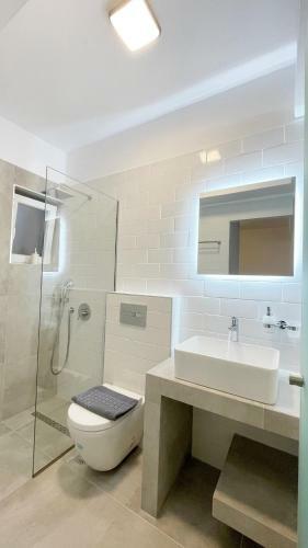 Apartamento Antheon Studio