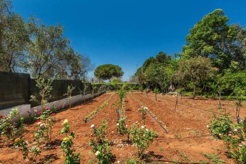 Villa Sant`elia By Barbarhouse