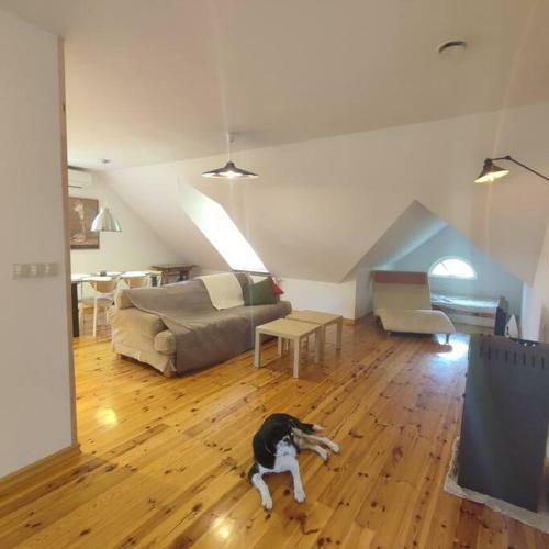 Apartament Urocze Miejsce