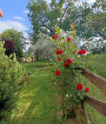 Apartament Urocze Miejsce