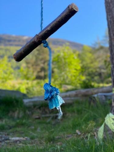 Hus I Stryn