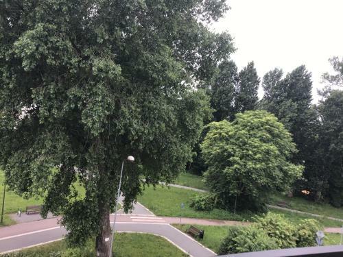 Apartament Parkowy