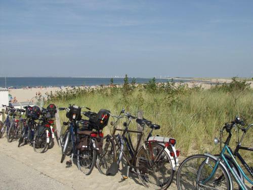 Apartamento Appartement Walvis Nr. 24