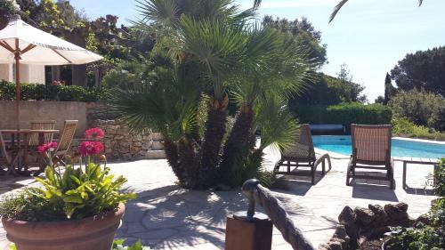 Bed & Breakfast Villa Port Sud