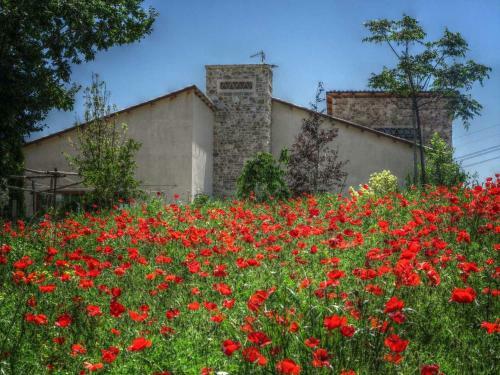 Agroturismo Agriturismo Cignale