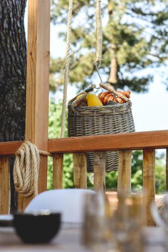 Hotel Logis H�tel Emeraude Des Bois