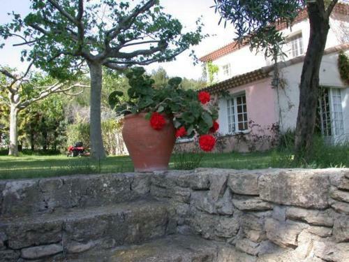Bed & Breakfast Mas De La Rabassi�re