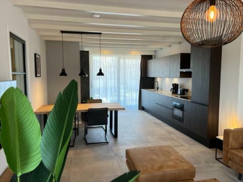 Apartamento Casa Del Cisne 3