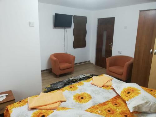 Hostal Pensiunea Saradavy