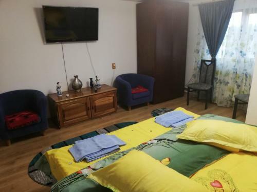 Hostal Pensiunea Saradavy