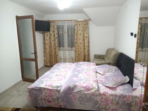 Hostal Pensiunea Saradavy