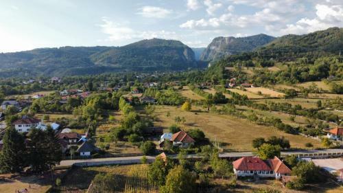 Hostal Pensiunea Saradavy