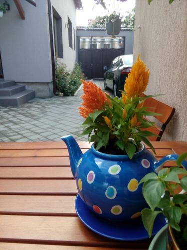 Hostal Pensiunea Select