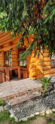Lodge Cabana Alesia