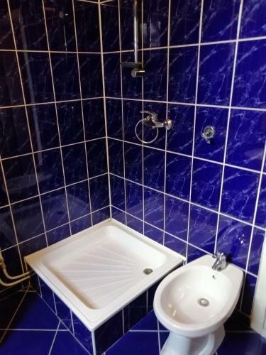 Hostal Fodor Vend�gh�z