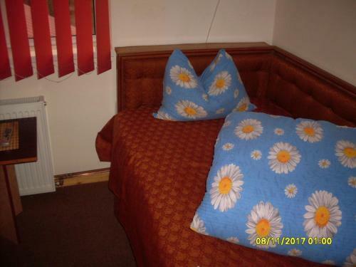 Hostal Pensiunea Bors Ioan