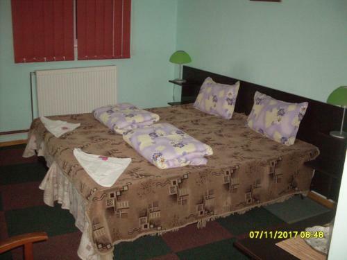 Hostal Pensiunea Bors Ioan