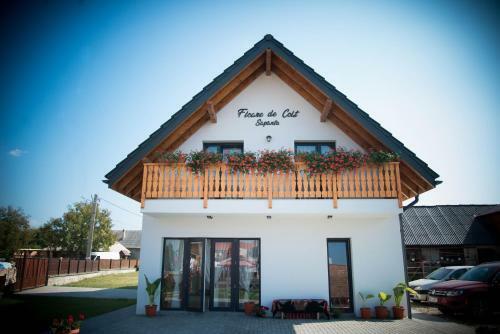 Hostal Floare De Colt Sapanta