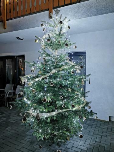 Hostal Floare De Colt Sapanta