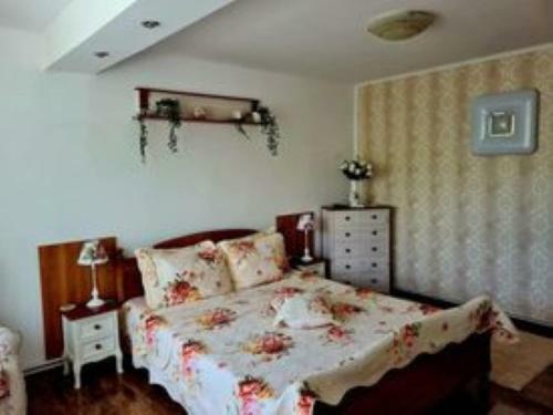 Casa Alex