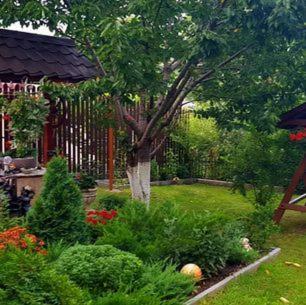 Casa Alex
