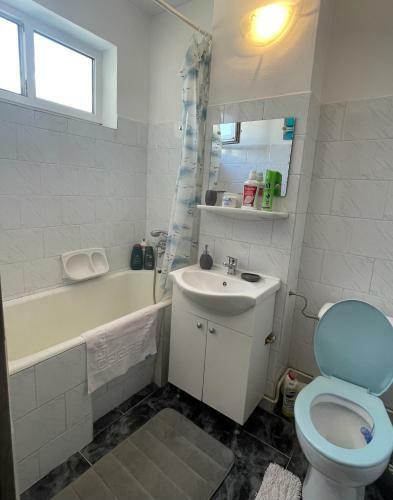 Bulevardul Mihai Viteazul Apartament
