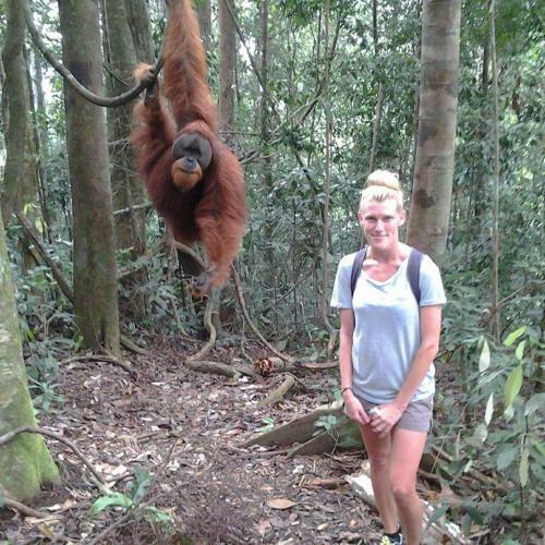 Jungle View Homestay Bukit Lawang