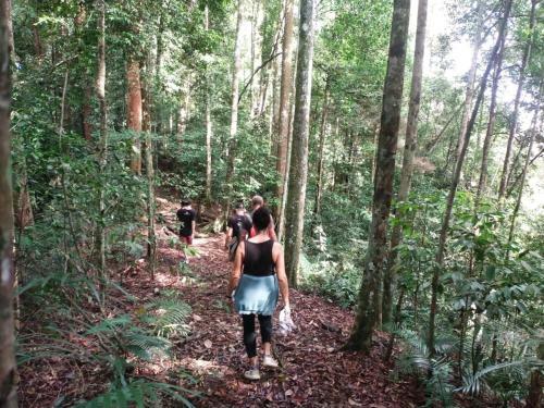 Jungle View Homestay Bukit Lawang